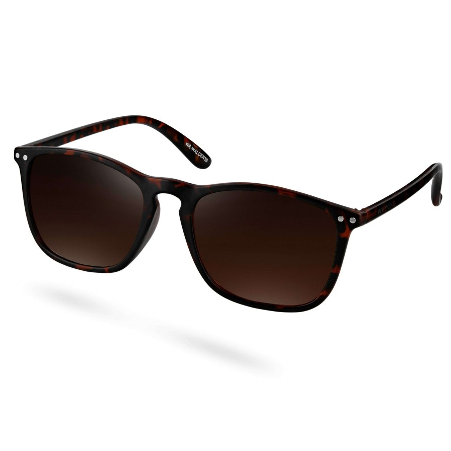 Sunglasses * | Outlet Waykins Wade | Tortoise & Brown Polarised Square Sunglasses